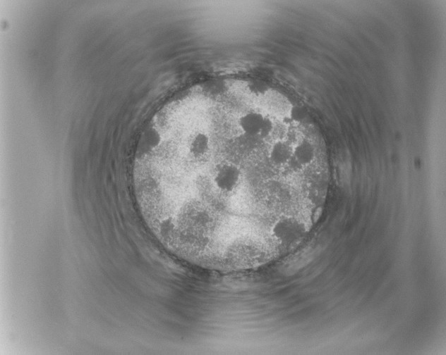 X0000070401393200607072232