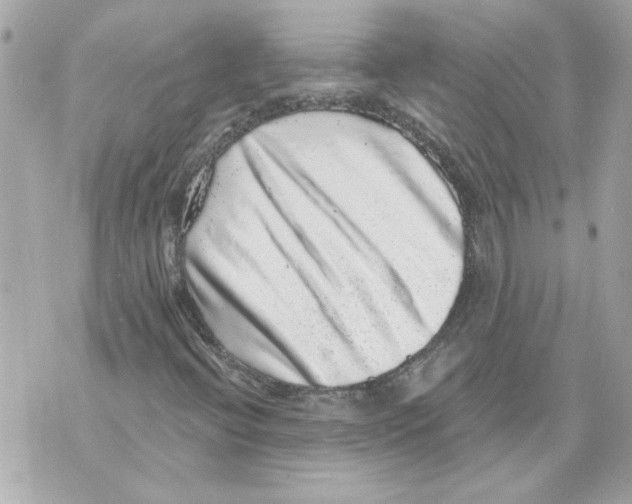 X0000070401396200607072232