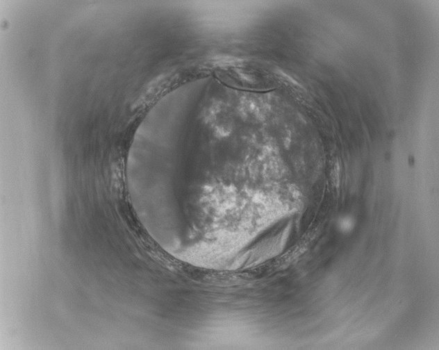 X0000070401397200607072232