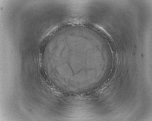 X0000070401399200607072232