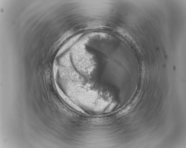 X0000070401401200607072232