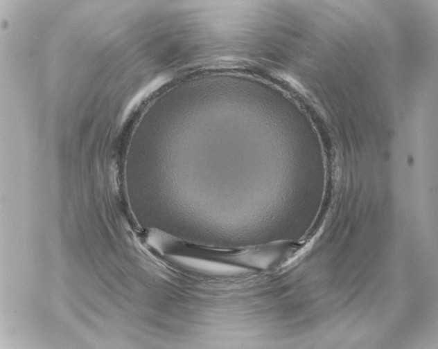 X0000070401402200607072232