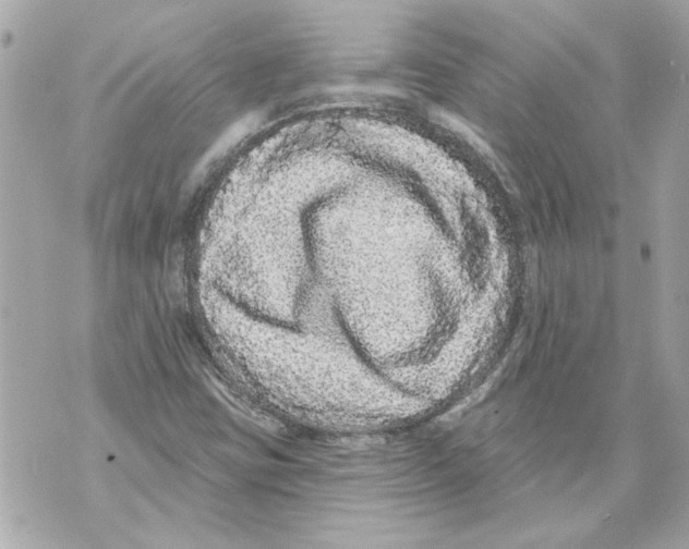 X0000070401403200607072232