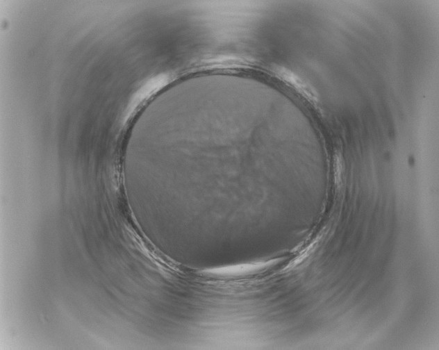 X0000070401405200607072232