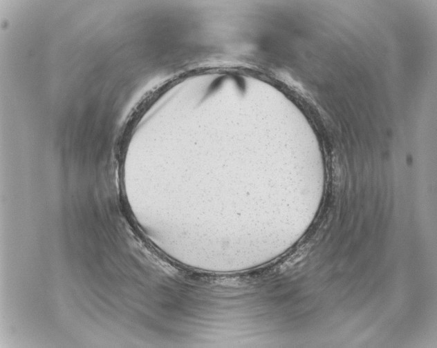 X0000070401408200607072233