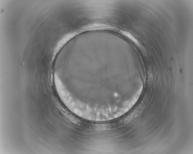 X0000070401413200607072233