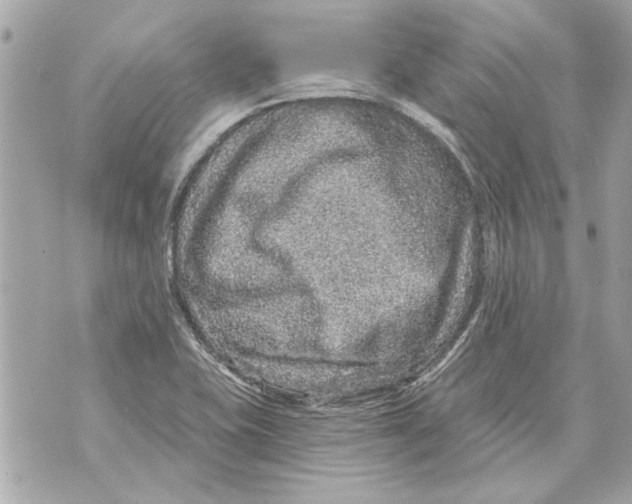 X0000070401415200607072233