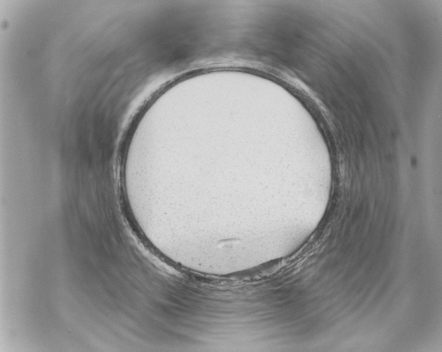 X0000070401416200607072233