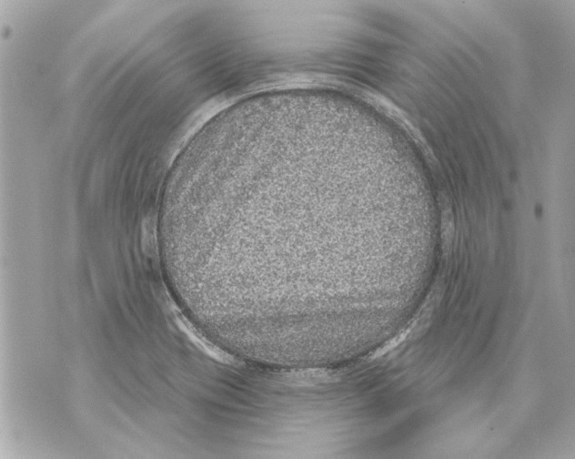 X0000070401417200607072233