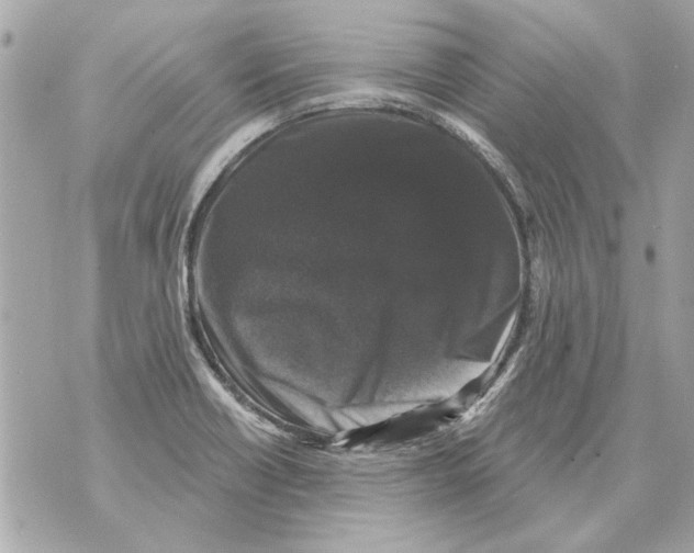 X0000070401418200607072233