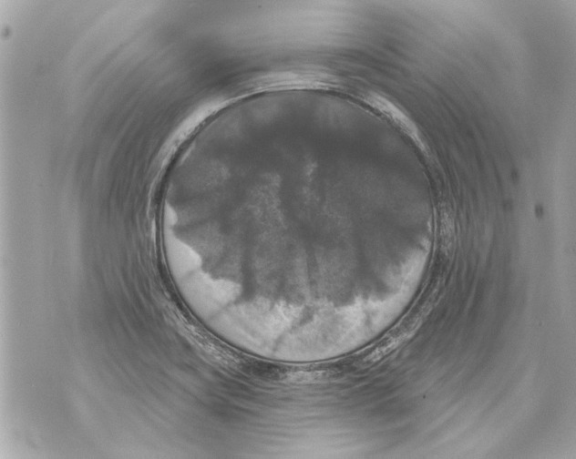 X0000070401419200607072233