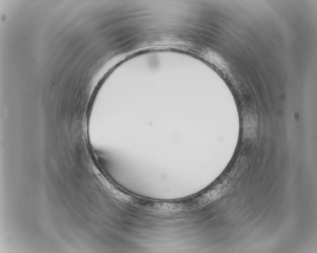 X0000070401420200607072233