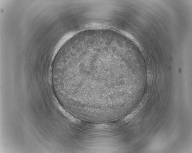 X0000070401421200607072233