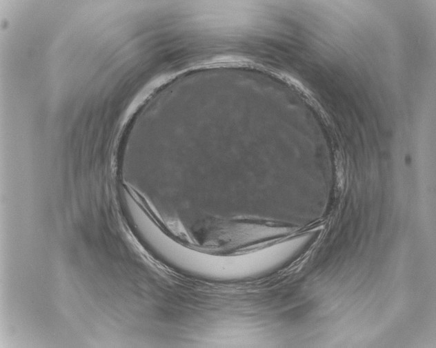 X0000070401422200607072233