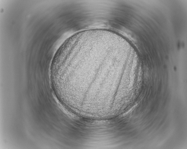 X0000070401423200607072233