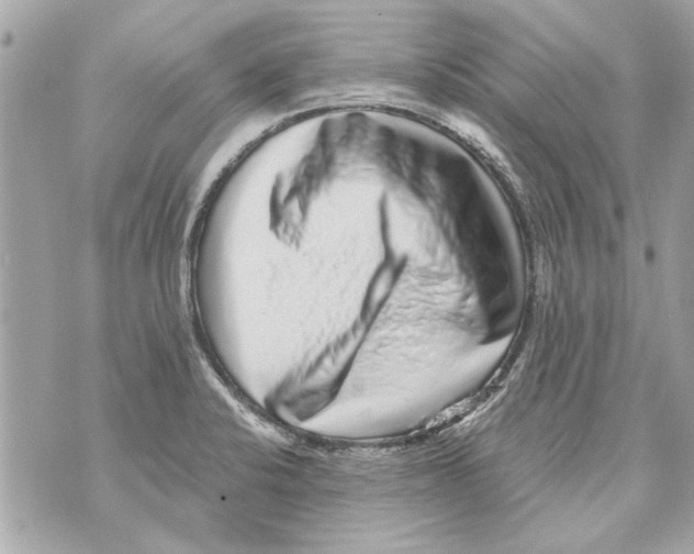 X0000070401424200607072233