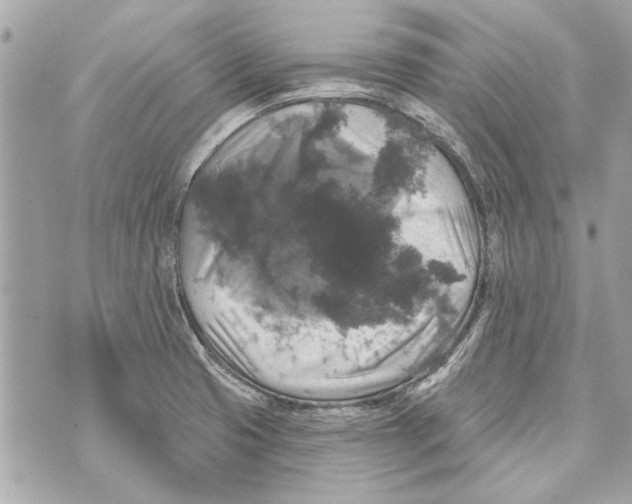 X0000070401425200607072233