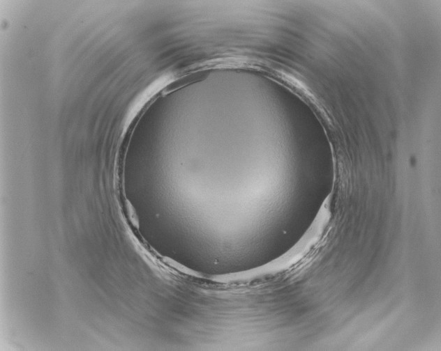 X0000070401426200607072233