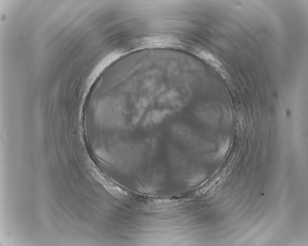 X0000070401427200607072233