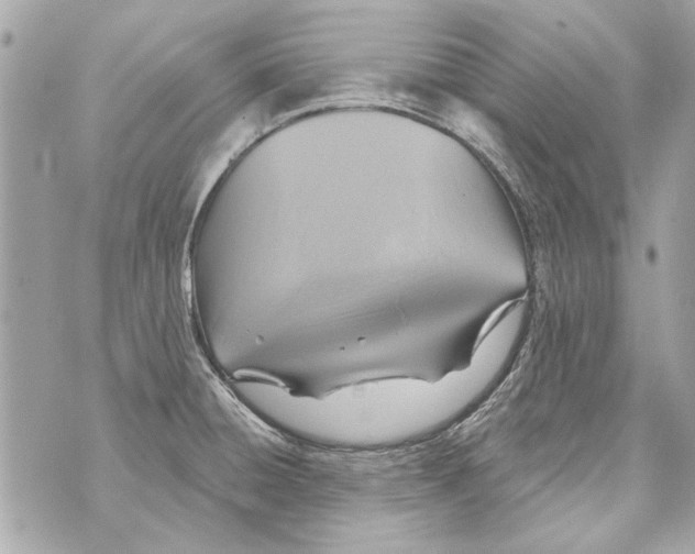 X0000070401428200607072233