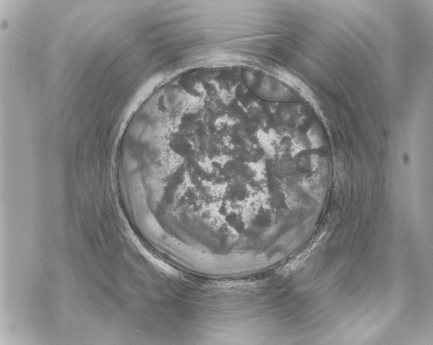 X0000070401429200607072233