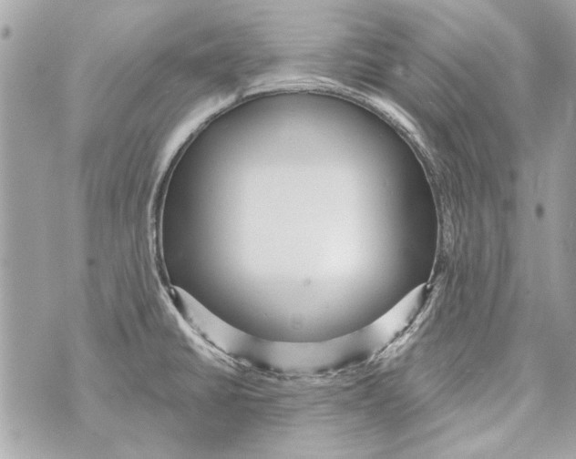 X0000070401430200607072233