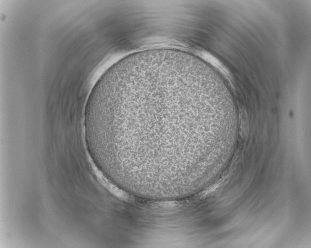 X0000070401431200607072233