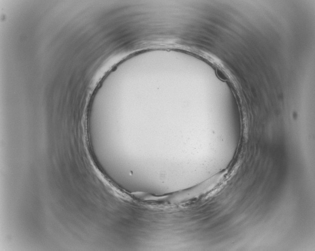 X0000070401432200607072233