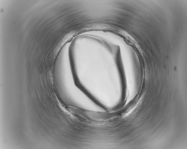 X0000070401433200607072233