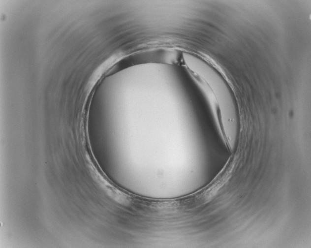 X0000070401434200607072233