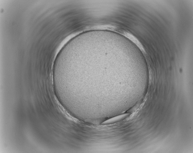 X0000070401436200607072233