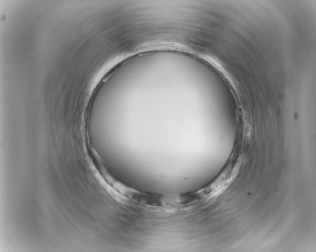 X0000070401438200607072233