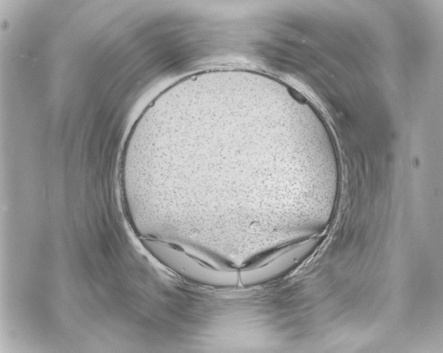 X0000070401440200607072233