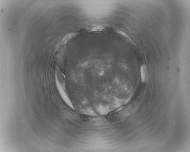 X0000070401443200607072232