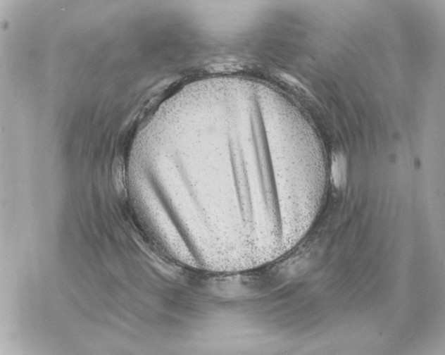 X0000070401444200607072232