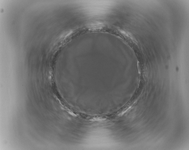 X0000070401445200607072232