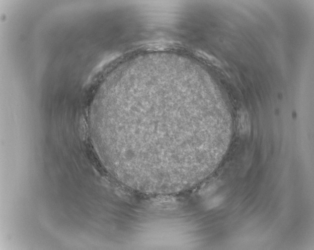 X0000070401446200607072232