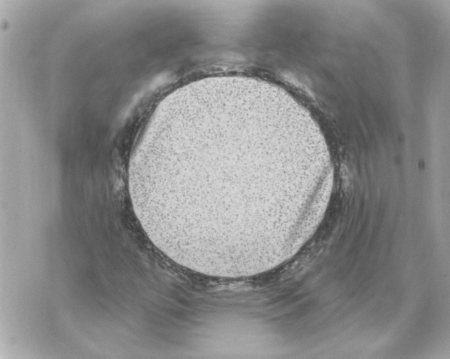 X0000070401447200607072232