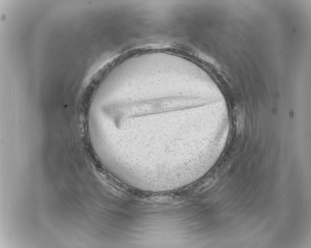 X0000070401448200607072232