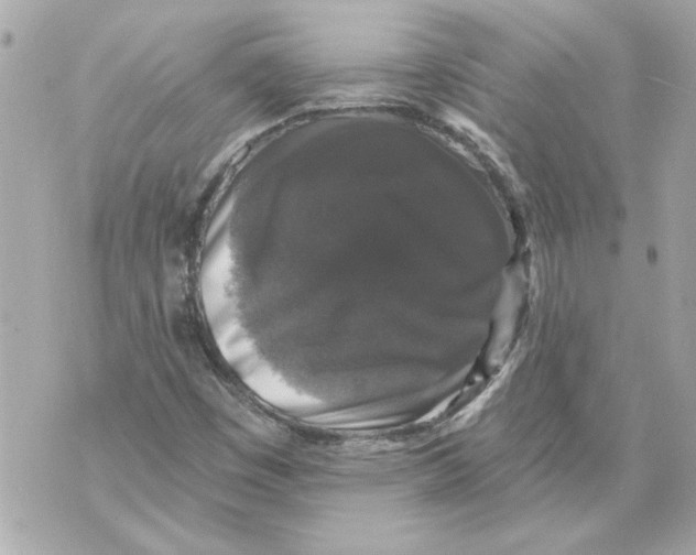 X0000070401449200607072232