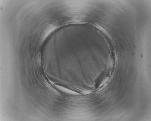 X0000070401450200607072232