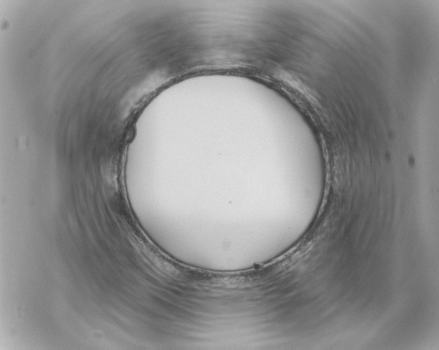 X0000070401451200607072232