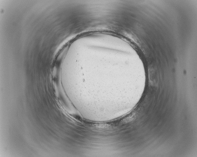 X0000070401452200607072232