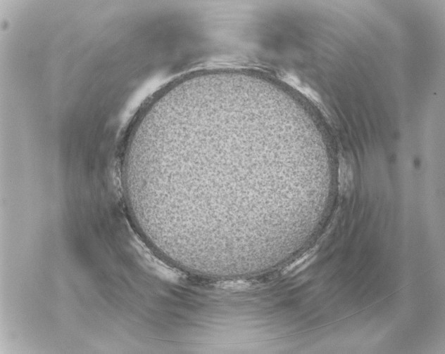 X0000070401454200607072232