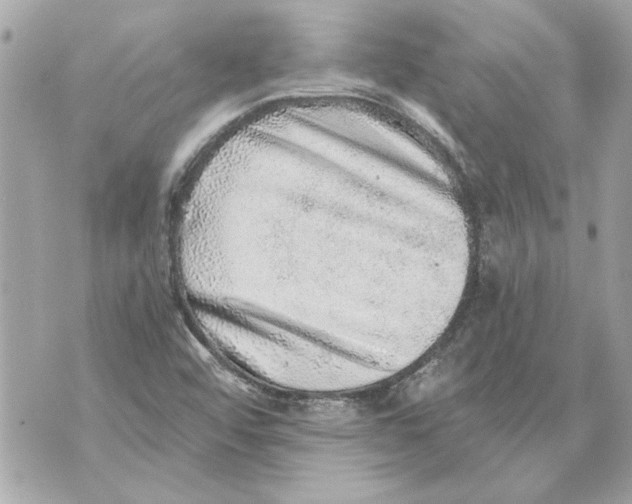 X0000070401456200607072232