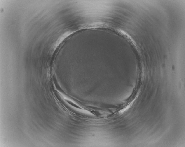 X0000070401457200607072232