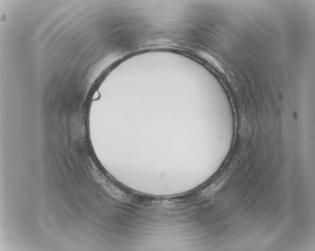 X0000070401458200607072232