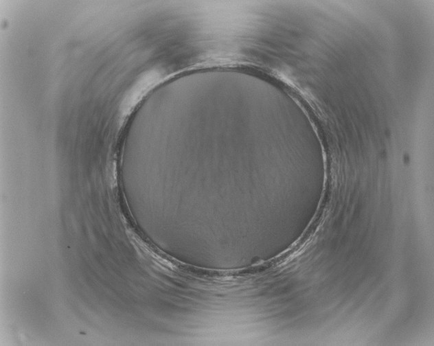 X0000070401459200607072232