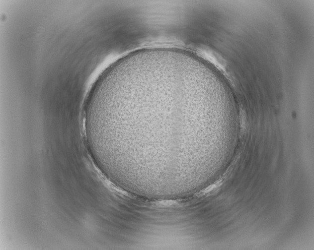 X0000070401462200607072232