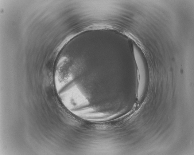 X0000070401465200607072232